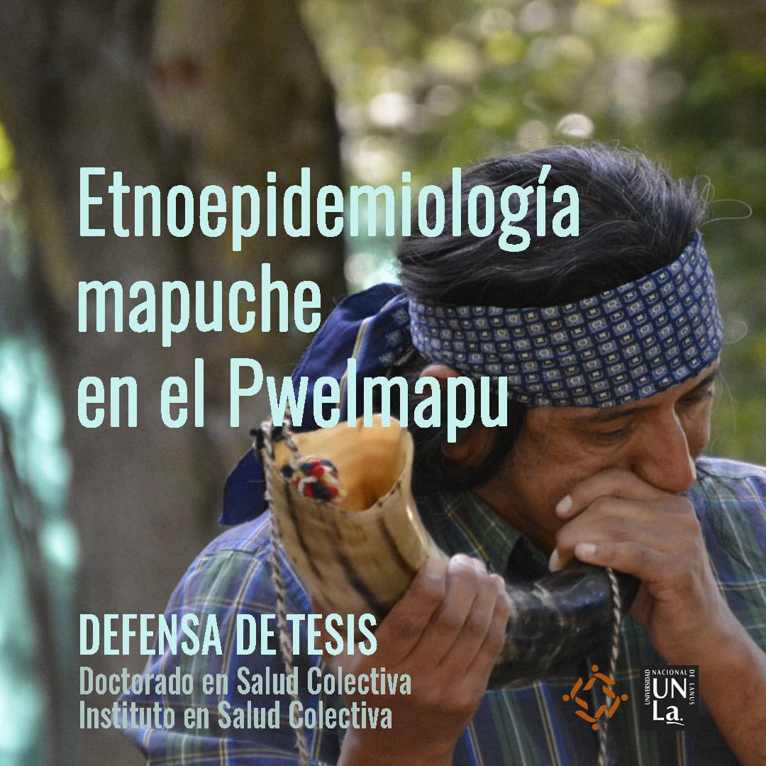 Etnoepidemiología mapuche en el Pwelmapu