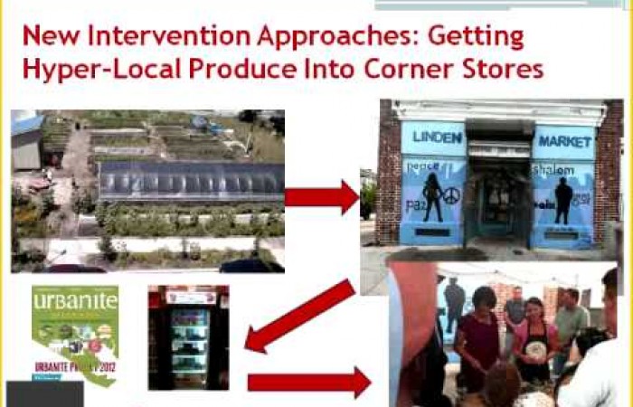 Development of multi-level interventions for chronic disease prevention. [Webinar con Joel Gittelsohn] 
